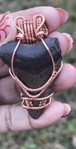 Shark’s Tooth Copper Wrapped